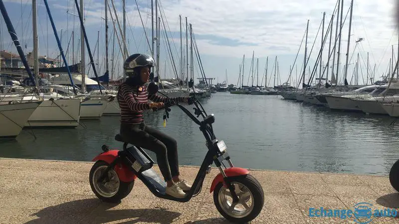 découvrez tout ce qu'il faut savoir sur la carte grise pour scooter électrique : démarches, documents nécessaires et conseils pour une immatriculation réussie de votre deux-roues écologique. simplifiez vos formalités et profitez pleinement de votre mobilité durable.