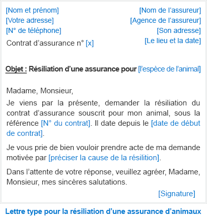 découvrez comment trouver l'adresse de votre assureur facilement. accédez aux informations nécessaires pour contacter votre compagnie d'assurance et gérer vos contrats en toute simplicité.