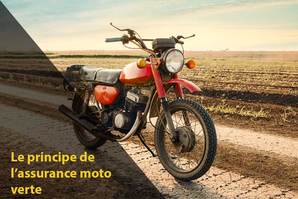 découvrez l'assurance moto verte, une solution éco-responsable qui protège votre deux-roues tout en respectant l'environnement. optez pour une couverture adaptée à vos besoins et engagez-vous pour une mobilité durable.